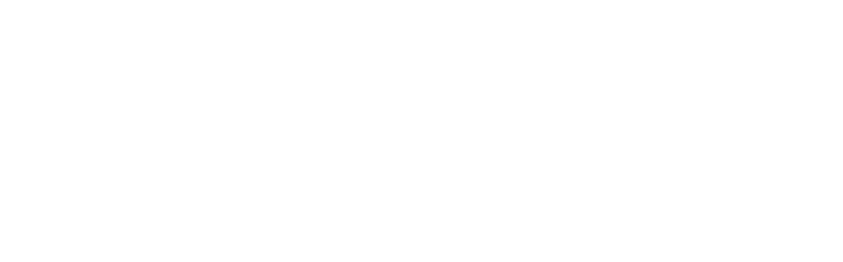 Wilmag Kenya Main Logo